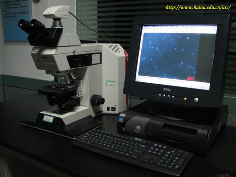 永利集团88304官网