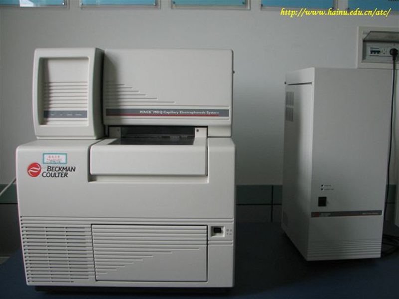 永利集团88304官网